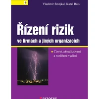 Řízení rizik ve firmách a jiných organizacích - E-kniha