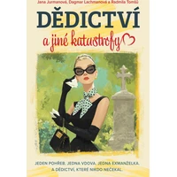 Dědictví a jiné katastrofy - E-kniha
