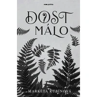 Dost málo - E-kniha