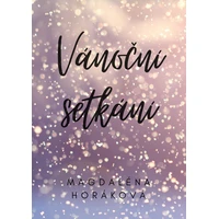 Vánoční setkání - E-kniha