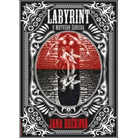 Labyrint u Mrtvého ženicha - E-kniha