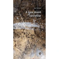 A zase zkusíš ráno vstát - E-kniha