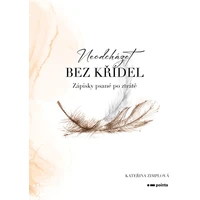 Neodcházet bez křídel - E-kniha
