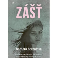 Zášť - E-kniha