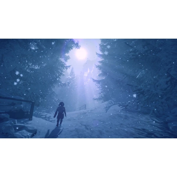 Skábma Snowfall (PS4) - Hry pro PS4 - Obrázek 8BF2G00101