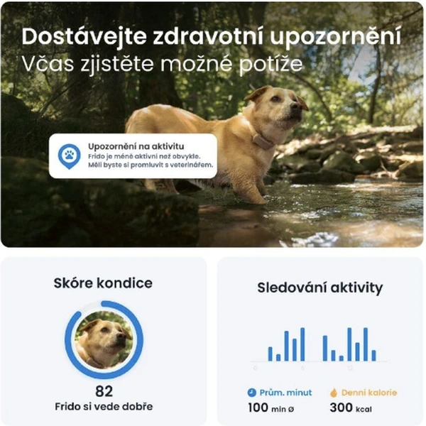 Tractive GPS DOG 6 lokátor polohy a aktivity pro psy hnědý - GPS moduly - Obrázek 8CTD000L01