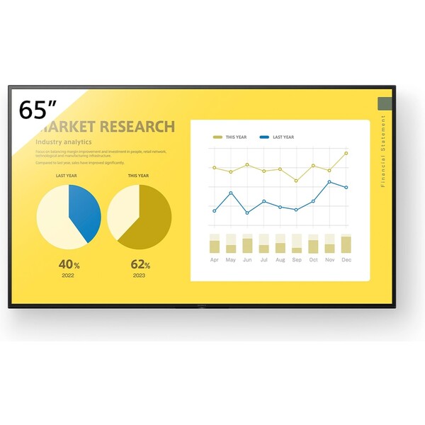 Sony EZ20L FW-65EZ20L  Černá