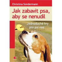 Jak zabavit psa, aby se nenudil - E-kniha