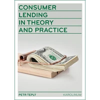 Consumer Lending in Theory and Practice - E-kniha