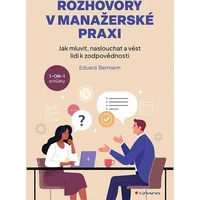 Rozhovory v manažerské praxi - E-kniha