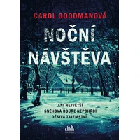 Noční návštěva - E-kniha