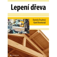 Lepení dřeva - E-kniha