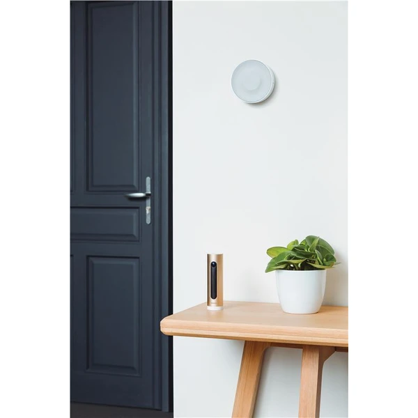 Netatmo Smart Indoor Camera + Siren + Sensors - Kamery - Obrázek 8bedf86235834e23b22e07f972e26997