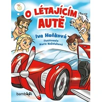 O létajícím autě - E-kniha