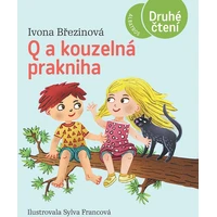Q a kouzelná prakniha - E-kniha