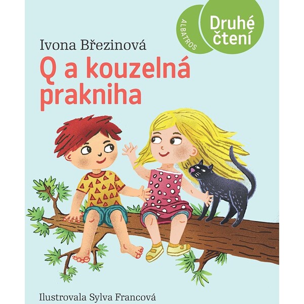 Q a kouzelná prakniha