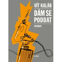 Dám se poddat - E-kniha