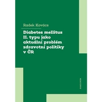 Diabetes mellitus II. typu jako aktuální problém zdravotní politiky v ČR - E-kniha