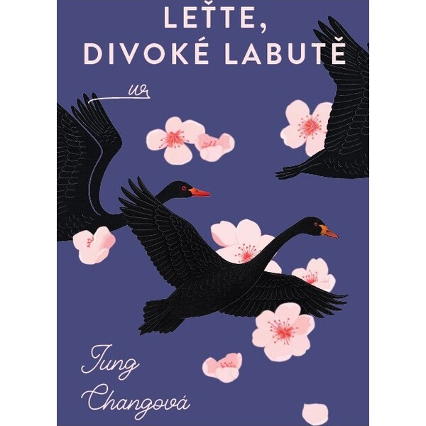 Leťte, divoké labutě