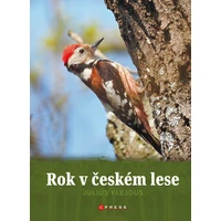 Rok v českém lese - E-kniha