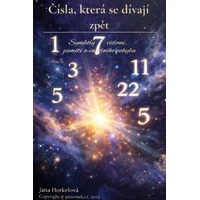Čísla, která se dívají zpět  - E-kniha