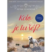 Kdo je tu šéf? - E-kniha