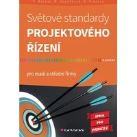 Světové standardy projektového řízení - E-kniha