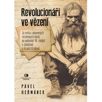 Revolucionáři ve vězení - E-kniha