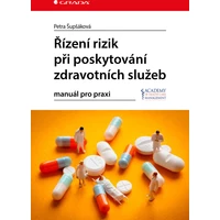 Řízení rizik při poskytování zdravotních služeb - E-kniha