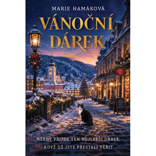 Vánoční dárek - Smarty.cz