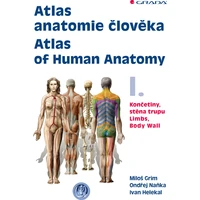 Atlas anatomie člověka I. - Atlas of Human Anatomy I. - E-kniha