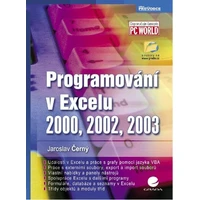 Programování v Excelu 2000, 2002, 2003 - E-kniha