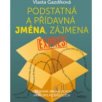 Podstatná a přídavná jména, zájmena expres - E-kniha