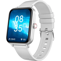 Niceboy Watch Lite 4 Artic chytré hodinky stříbrné - Chytré hodinky