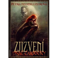 Zjizvení - E-kniha