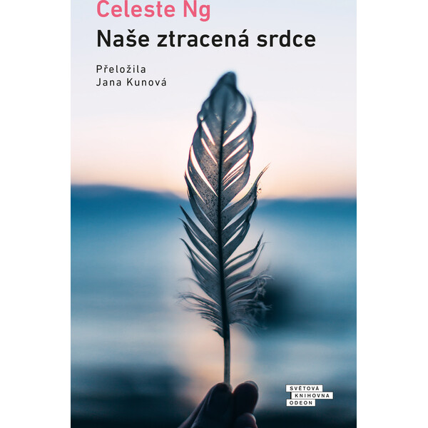 Naše ztracená srdce