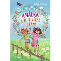 Amálka a její velké přání - E-kniha