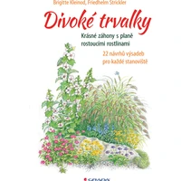 Divoké trvalky - E-kniha