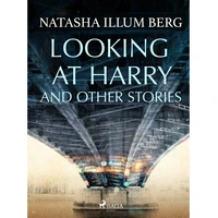 Looking at Harry and Other Stories - E-kniha