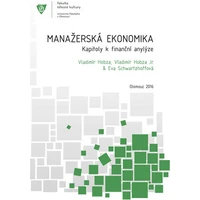 Manažerská ekonomika. Kapitoly k finanční analýze. - E-kniha