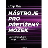 Nástroje pro přetížený mozek - E-kniha