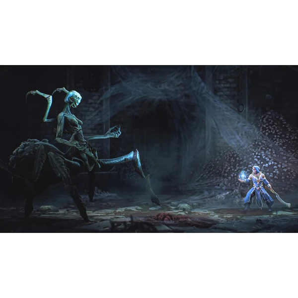 Mandragora: Whispers of the Witch Tree (Switch) - Hry pro Nintendo Switch - Obrázek 96CF000O01