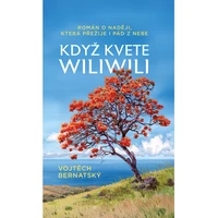 Když kvete wiliwili - E-kniha