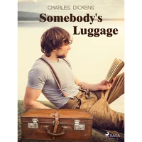Somebody's Luggage - E-kniha