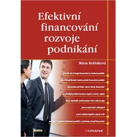 Efektivní financování rozvoje podnikání - E-kniha