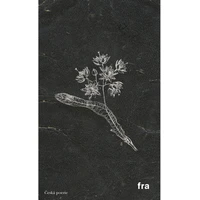 Herbář k čemusi horšímu - E-kniha