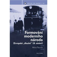 Formování moderního národa - E-kniha