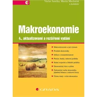 Makroekonomie - E-kniha