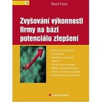 Zvyšování výkonnosti firmy na bázi potenciálu zlepšení - E-kniha