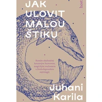 Jak ulovit malou štiku - E-kniha